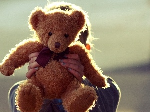 plush toy, Kid, teddy bear