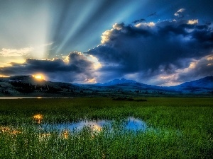 clouds, rays, swamp