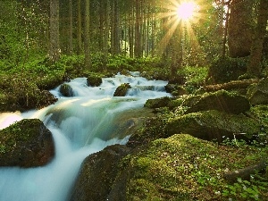 River, rays of the Sun, waterfall, forest
