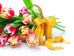 ribbon, basket, bouquet, tulips