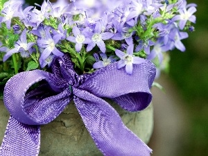 ribbon, flowers, bouquet, Blue