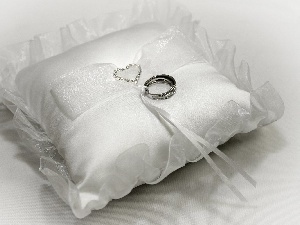 rings, Silver, Pillow, Heart teddybear