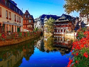 River, Restaurant, Town, Flowers, Hotel hall