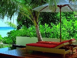 sea, Palms, terrace, deck chair