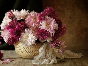 shawl, chrysanthemums, basket, bouquet