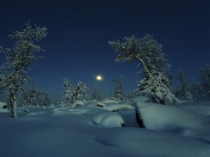 snow, viewes, moon, trees