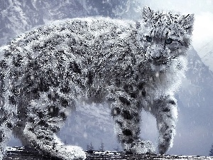 snow, Panther, snow leopard