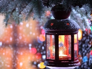 spruce, lantern, ornamentation, Christmas