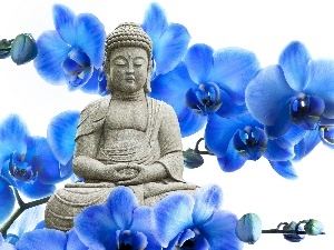 Statue of Buddha, orchids, blue, Flowers