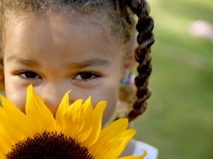pigtail, Sunflower, girl