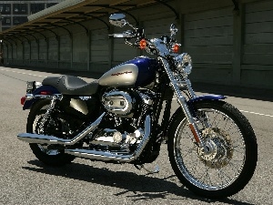 tank, fuels, Harley Davidson Sportster XL1200C