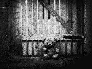 basement, teddy bear