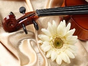 textile, Gerber, instrument, musical