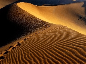 traces, Africa, Desert, Namibia