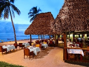 tropic, Ocean, Restaurant, Beaches