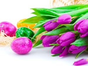 eggs, Tulips, Easter