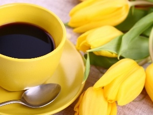 Tulips, coffee, Yellow Honda, cup