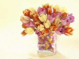 tulips, Vase