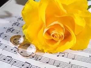 Tunes, rings, Yellow, roses