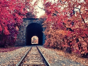 autumn, viewes, trees, tunnel, Leaf, ##, railway