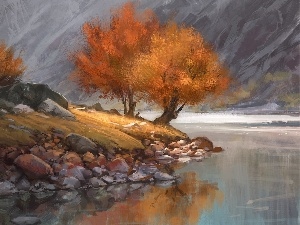 viewes, trees, River, Stones
