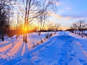 viewes, sun, trees, winter, Way, east