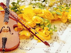 violin, Tunes, Yellow, roses