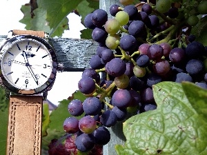 Watch, Grapes, Wooden, hand-rail