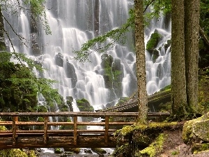 bridges, waterfall, forest