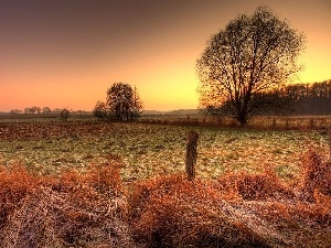 autumn, west, White frost, field, sun, medows, woods