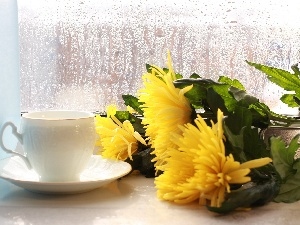 Window, bouquet, flowers, cup, Rain, tea