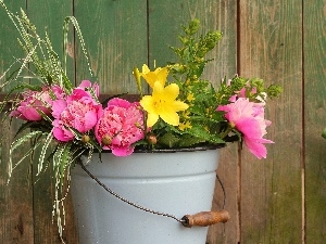Yellow, Peonies, bucket, Flowers, Pink